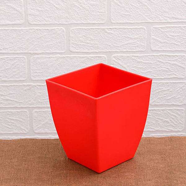 Kid's Workshop: Rosy Red Noses